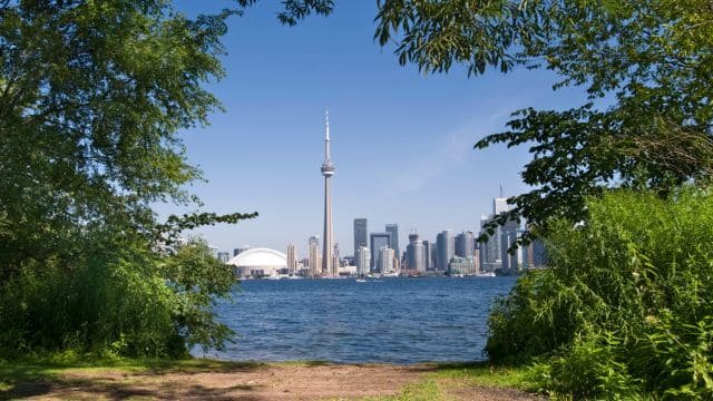 SEO_for_realtors_in_toronto